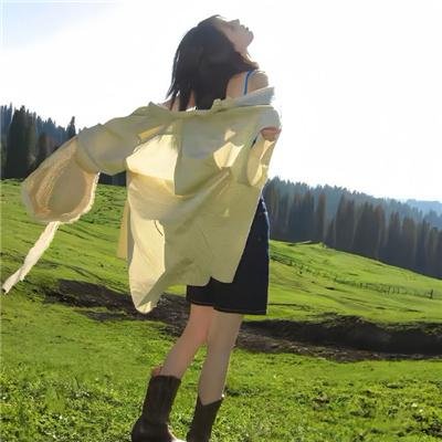 田野泪